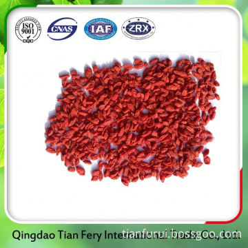 Fresh Goji Berries Export Argentina